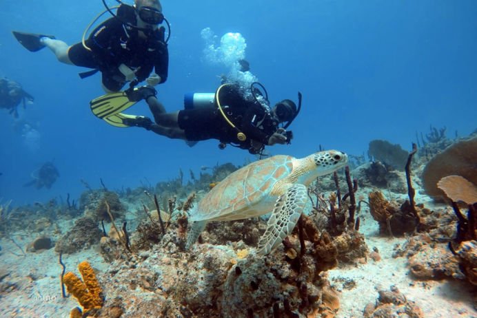 Top Scuba Diving Tours in Bayahibe Dominican Republic